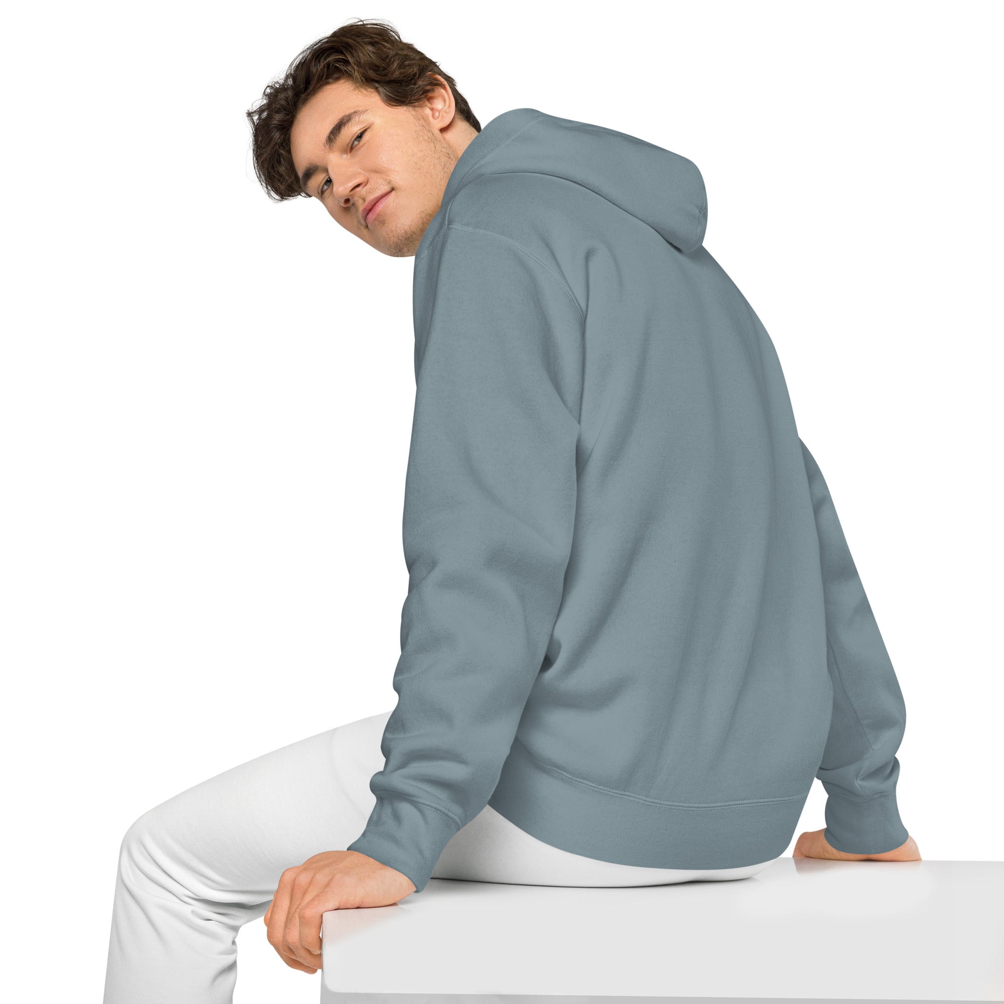 TeeSherrt Hoodie
