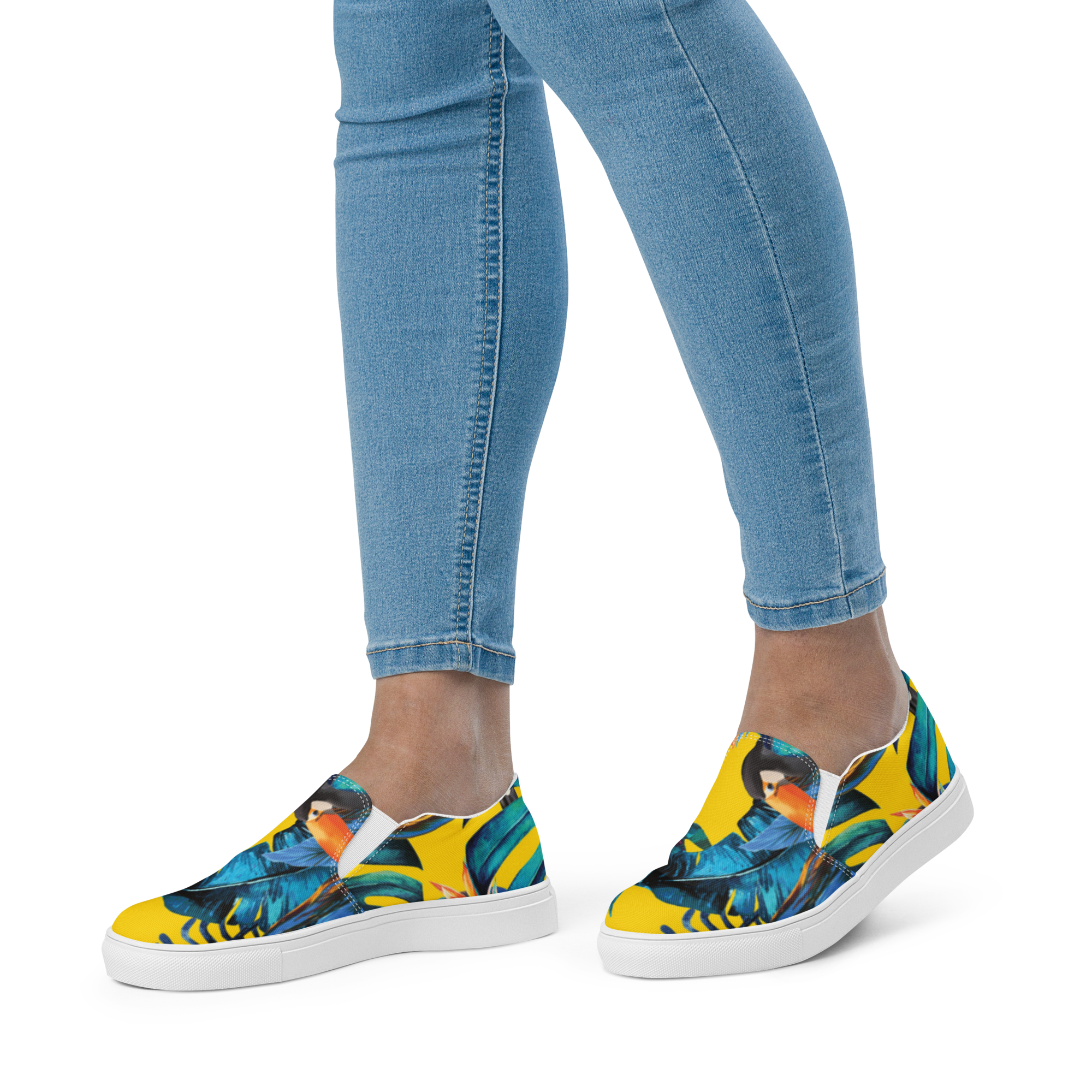 Aleria Canvas